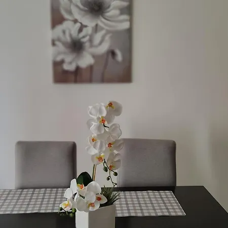 Nada De Lux Apartment *